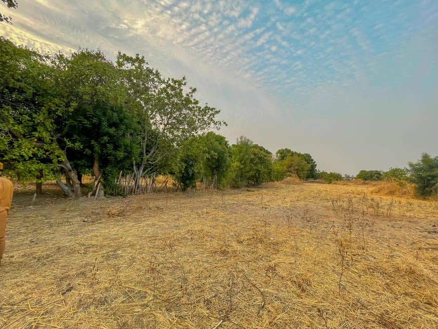 Serekunda: Reittour durch Wälder und Reisfelder