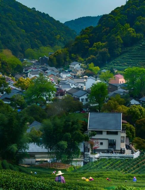 Hangzhou: Longjing Village Tea Picking and Tasting Tour