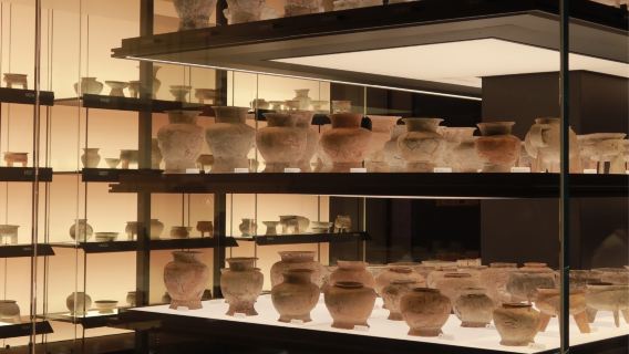 [Pakar Arkeologi] Tur 2 Jam di Museum Arkeologi Gunung Yujia