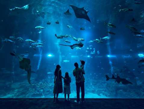 Singapore: Singapore Oceanarium Entrance E-Ticket