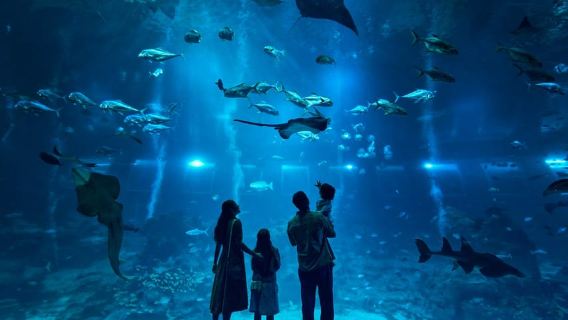 Singapur: Entrada electrónica al Oceanario de Singapur