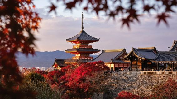 Excursion d'une journée au temple Kiyomizu-dera, aux rues Ninenzaka et Sannenzaka, au Parc de Nara et au Fushimi Inari-taisha à Kyoto, Japon