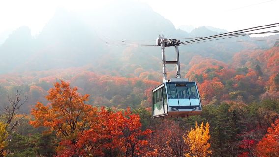 Lawatan sehari Seoraksan + Pulau Nami + Taman Morning Calm