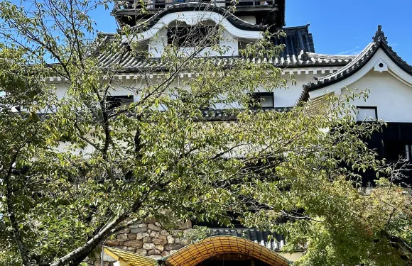 犬山城&马笼宿包车一日游|客制化行程|多套餐可选|自由搭配