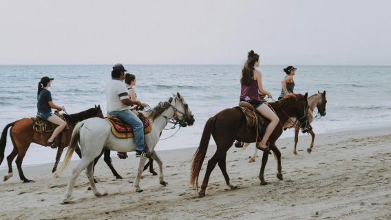 1-stündige Radfahrtour am Roten Meer in Ägypten – Reiten, Kamelritt, Strand, Wüste und Sonnenuntergang