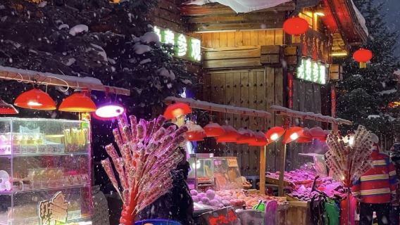 中國雪鄉&大禿頂子山一日遊【8人團丨巴士團含午餐丨雪地摩托車】