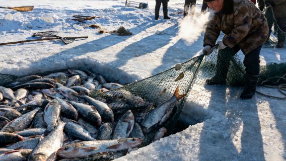 【去冬捕！】查幹湖冬捕專屬包車｜搶佔冰湖C位+全程暖車待命