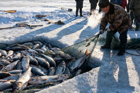 【去冬捕！】查幹湖冬捕專屬包車｜搶佔冰湖C位+全程暖車待命