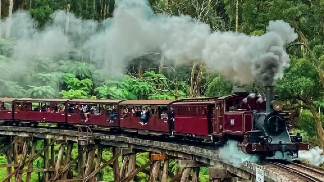 Melbourne Puffing Billy Railway + Phillip Island Penguin Parade Small Group 1-day Tour (Max 10 People)