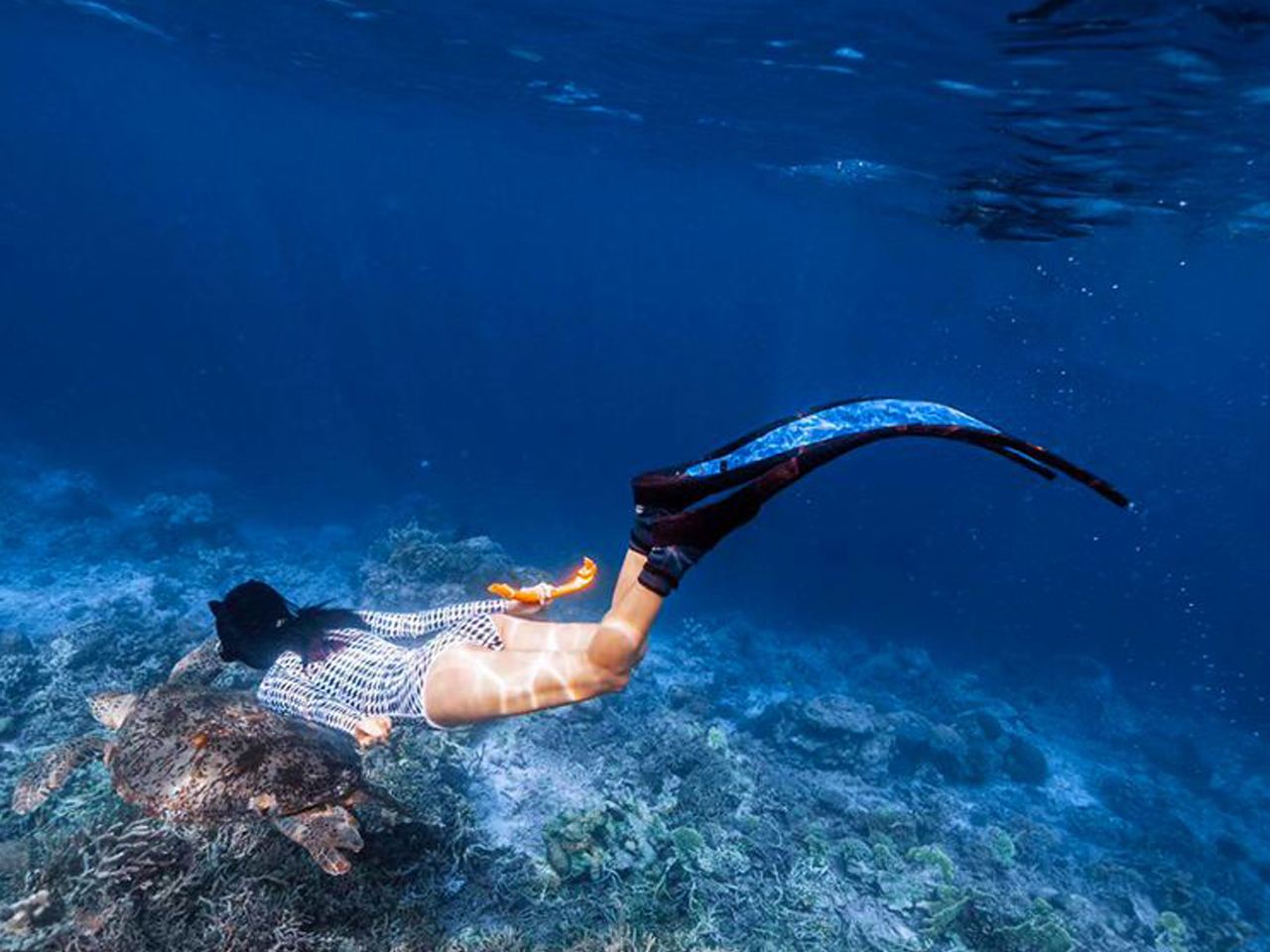 馬達京私享快艇-可選深潛1V2+馬達京島+斑淡喃+汀巴一日遊