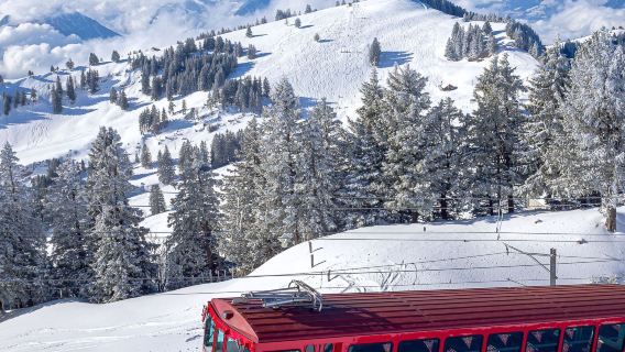 蘇黎世出發！盧塞恩高山湖泊全景路線包車一日遊