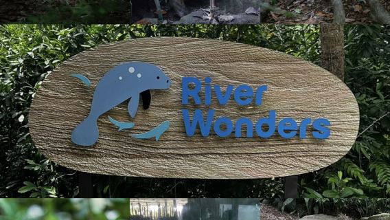 新加坡動物園包車一日遊｜動物園+河川生態園+夜間野生動物園