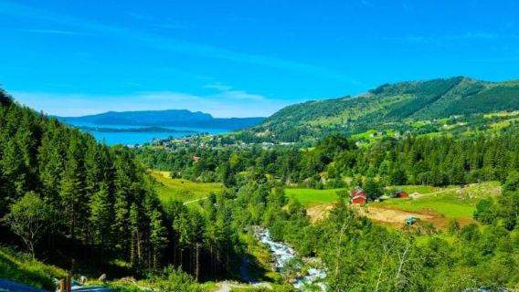 Norway Bergen to Rosendal Cruise One-way/Round-trip (Enjoy Hardangerfjorden)