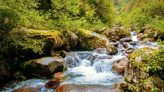 Jiamengcuo Chinese-language group tour one-day trip: Hiking and photography in the hidden gems of Tibet, enjoying the pristine natural environment.