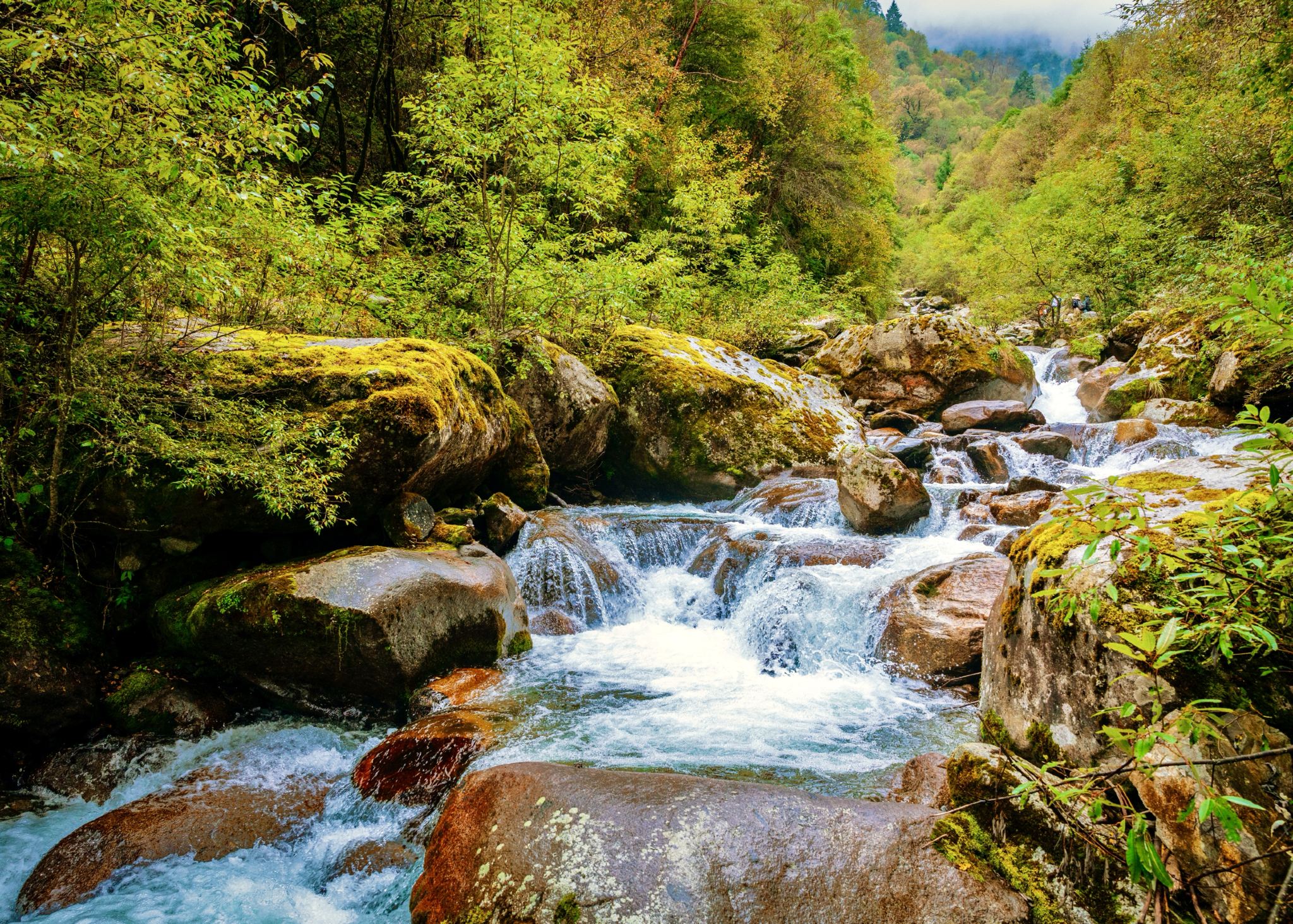 Jiamengcuo – Chinesischsprachige Gruppentour (Tagesausflug): Wandern und Fotografieren in den verborgenen Schätzen Tibets, Genießen der unberührten Natur.