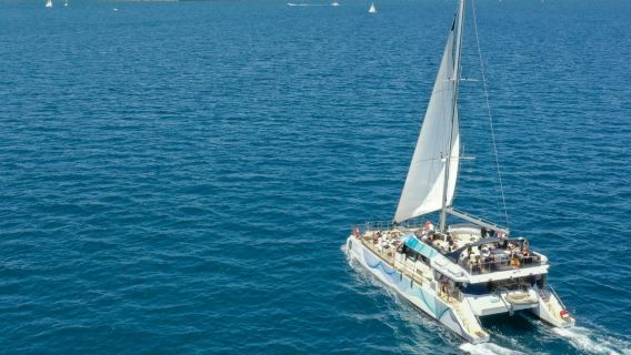 Barcelona: Eco Catamaran Coastline Tour