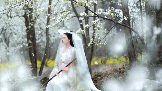 Gaoping Trip Moments[Sacred Maiden Temple/Kaihua Temple/Multilingual Translation/Photographer Services: Follow Shots, Aerial Photography, Companion Photography, Customized Sessions]