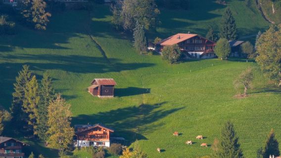 瑞士 ▎阿爾卑斯山格林德瓦+少女峰滑雪+因特拉肯小鎮