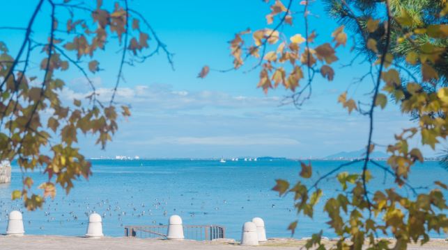 琵琶湖白鬚神社+三千院+滿月堂浮御堂+近江八幡一日遊