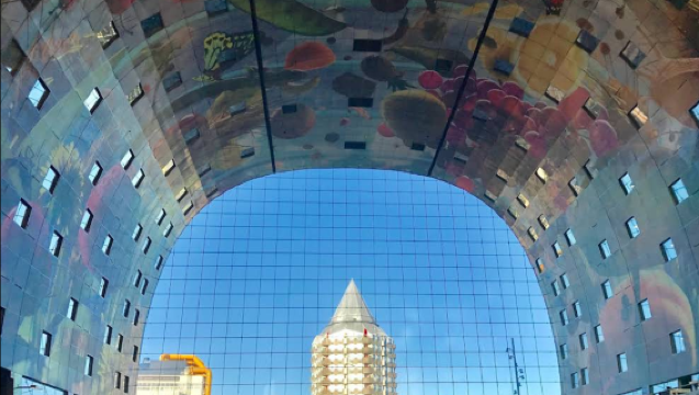 荷蘭阿姆斯特丹-海牙-鹿特丹-小孩堤防【中文包車自由行】