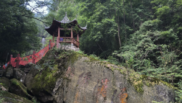 【官方接駁車】漢水源森林公園丨來回車費丨一日遊|寧強南站起止