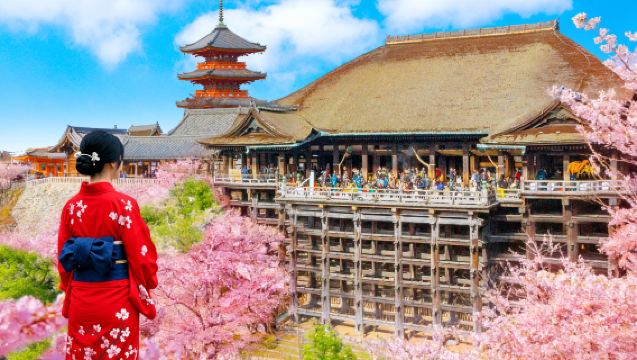 京都&宇治一日遊丨金閣寺+清水寺+平等院+猴子神社+二三年坂