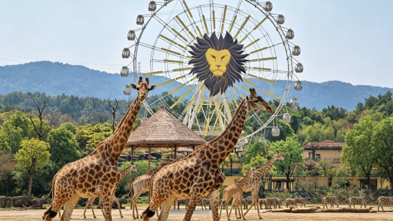 清遠長隆2天1晚/3天2晚 長頸鹿城堡酒店套票 森林王國/溫泉樂園 無限暢玩+美食+表演套票可選早餐/晚餐/溫泉