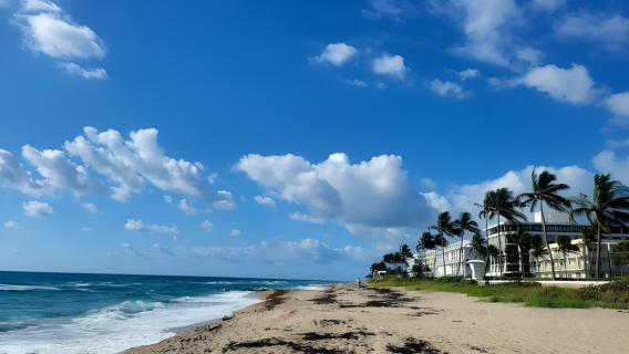 Fort Lauderdale, Amerika Syarikat + Palm Beach + Taman Flamingo, Miami pergi-balik (Tarikan boleh disesuaikan)