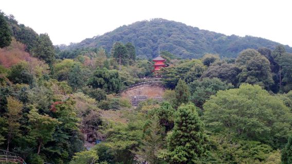 日本京都+三千院+貴船神社+清水寺一日遊【中文包車上門接】
