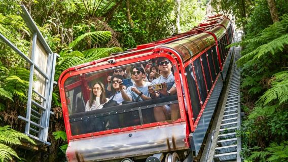 Sydney Blue Mountains Small Group Tour Special offer  (Max 14 people): Includes three cable car options + Three Sisters Peaks + pick-up and drop-off service available in city center (postcode 2000 only) Sydney Blue Mountains National Park Tour