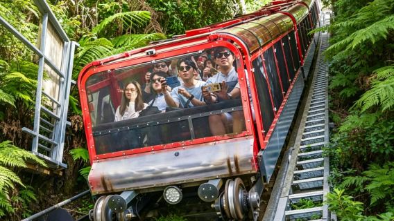 Sydney Blue Mountains Small Group Tour Special offer (Max 14 people): Includes three cable car options + Three Sisters Peaks + pick-up and drop-off service available in city center (NSW 2000 only) Sydney Blue Mountains National Park Tour