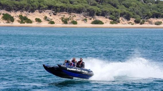 Phillip Island: 30-minute Jetboat Adventure Tour w/Seals
