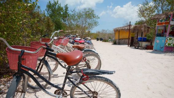 All inclusive Visit to Holbox Island