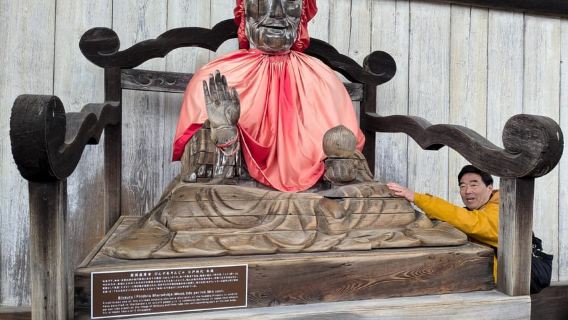 Nara: Great Buddha, Kasuga Shrine & Sacred Deer Tour