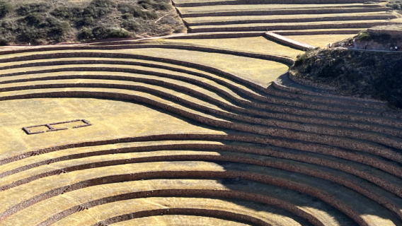 Cusco Sacred Valley 1-day tour! Pisac + Chinchero + Moray terraces · Excluding admission ticket!