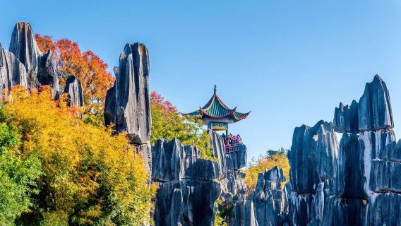 石林+九鄉一日遊【Trip.com貴賓獨立成團+市區上門接送+入場門票全含】