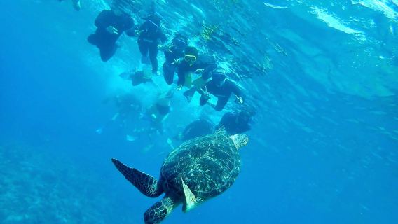 Esnórquel en las Islas Kerama de Okinawa: Explora 2 puntos de buceo | Fotografía gratuita | Salida desde Naha