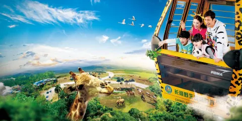 長隆野生動物世界/門票/項目快通/私家團/Trip Moments/車接送/可選