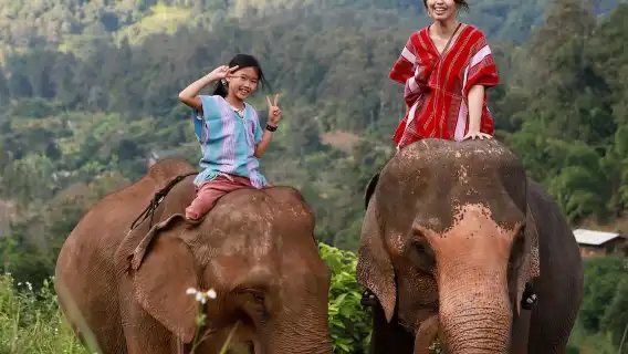 【十一特賣】清邁納財大象營+粘粘瀑布一日遊丨粑粑公園/竹漂流