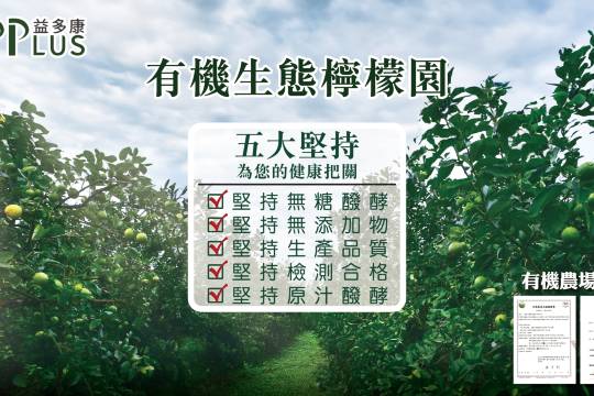 Xlife Organic Shop Lemon Life Concept Store