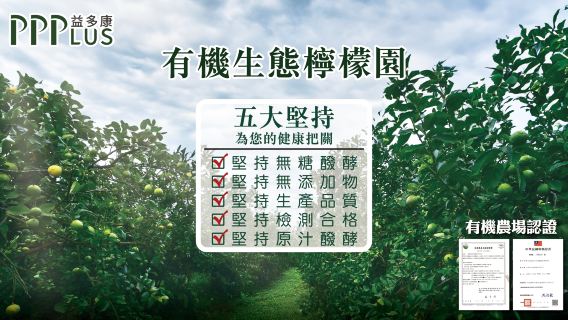 Hong KongExperiences