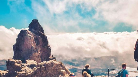 Gran Canaria: Visita guiada a los volcanes + Degustación de productos locales + Traslado de ida y vuelta