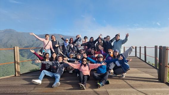 SeogwipoTours