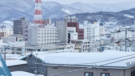 日本札幌來回大雪山國家公園-可小樽登別富良野北海道包車-精選