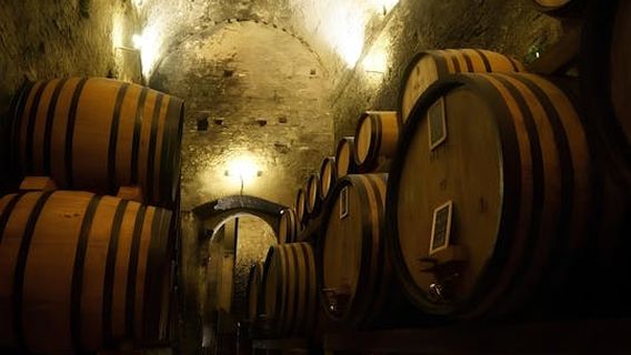 MontepulcianoExperiences