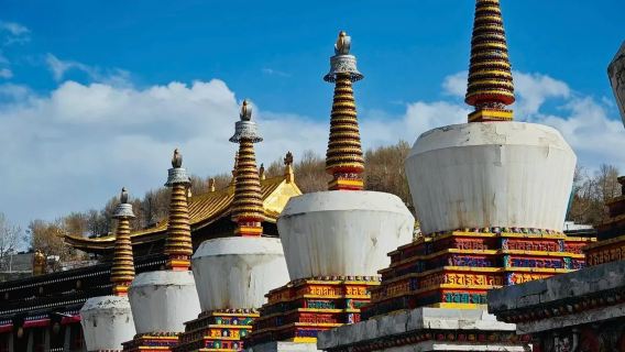 塔爾寺+青海湖+拉脊山一日遊【日月山|可上門接駁】