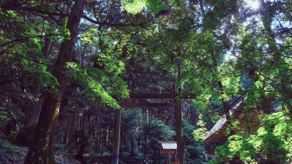 福岡日遊