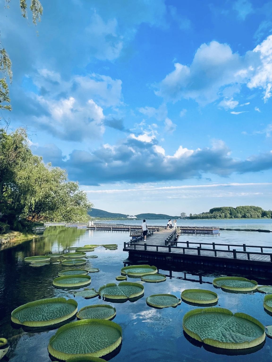 Nanchino: tour di un giorno al Giardino dell'Esposizione, Lago Xuanwu, Palazzo Presidenziale e Zoo di Hongshan con guida/noleggio con conducente esclusivo