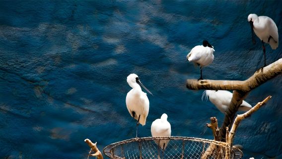 ทัวร์ส่วนตัวหนึ่งวันกำแพงเมืองจีนมู่เถียนหยู่ของสวนสัตว์ปักกิ่ง