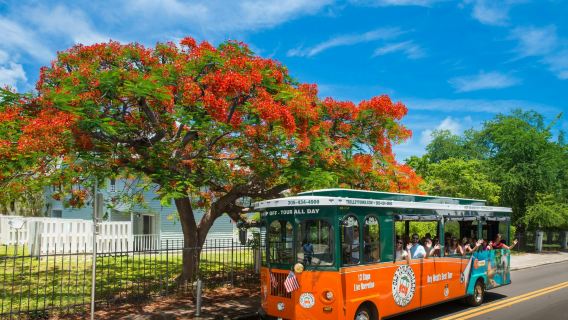 Key WestExperiences